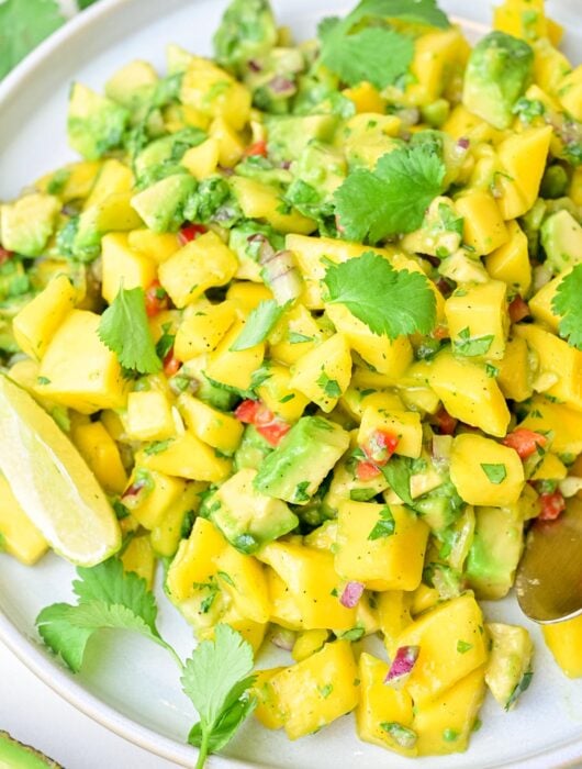 Mango avocado salsa on a white plate.